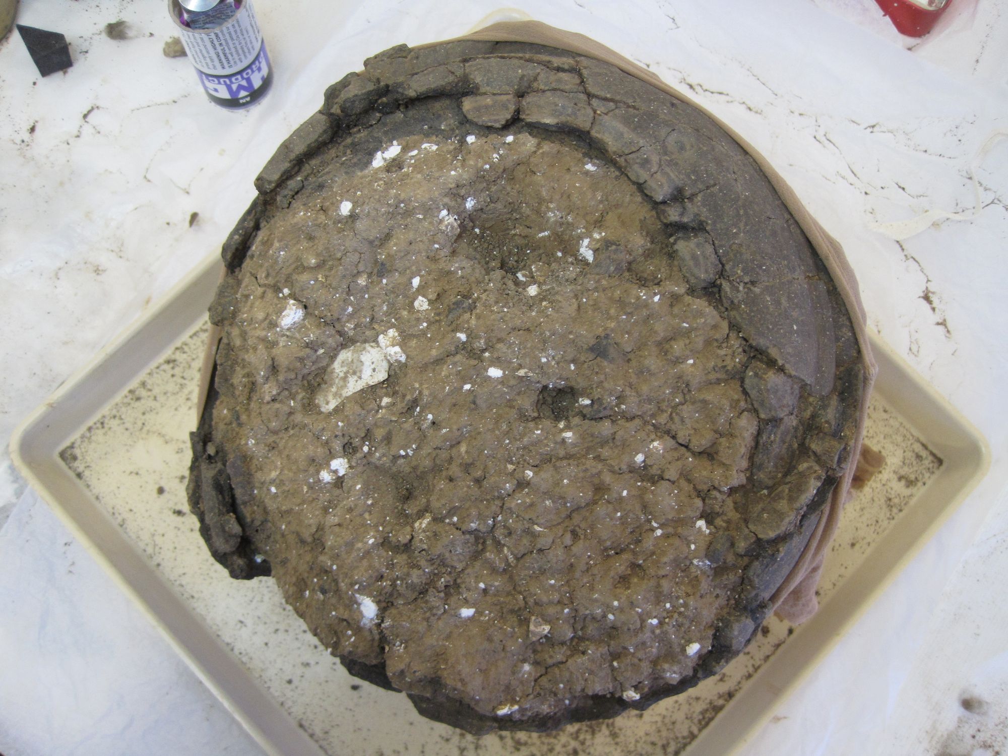 Text Box: The external surface has been cleaned and the pot is ready for micro-excavation.
