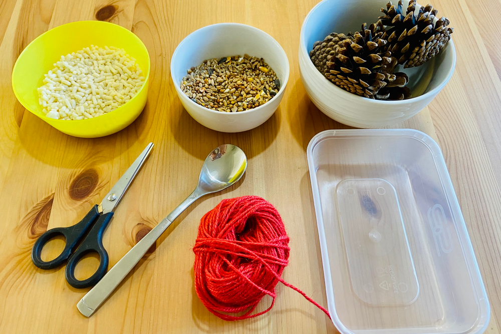 Activity Pine cone bird feeder