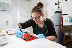 Conversations with Conservators: Preserving the Past (Part 1)