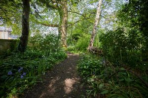 Nature on our Doorstep: Three interesting plants from our collections and how they are affected by climate change