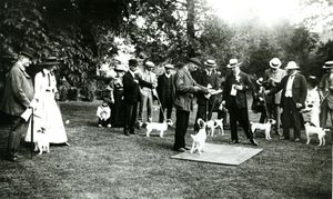 Puppy Love: Dogs in historic Hampshire photographs