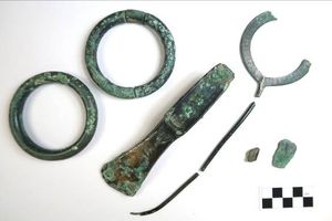 A Middle Bronze Age hoard from Portchester