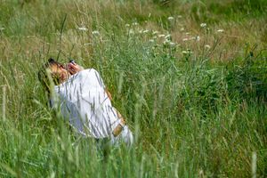 World Photography Day: Fareham Walkshop