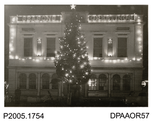 Christmas trees of Hampshire's past