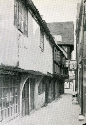 "A very good dog doctor" Edward Spary of the Royal Oak Inn, Winchester