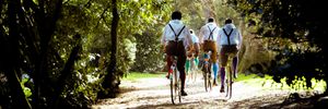 A wild ride with The HandleBards