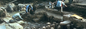 80 years on: The discovery of Rockbourne Roman Villa