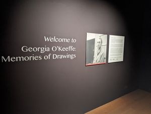 Georgia O’Keeffe: Memories of Drawings